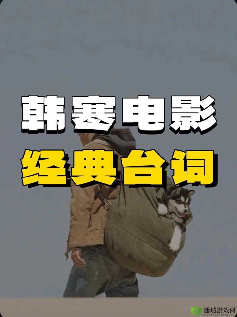 致敬韩寒:用光影致敬电影艺术,每日一部经典之作