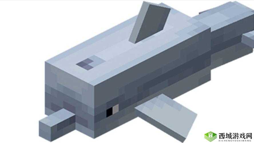 我的世界海豚喂养技巧与爱吃什么