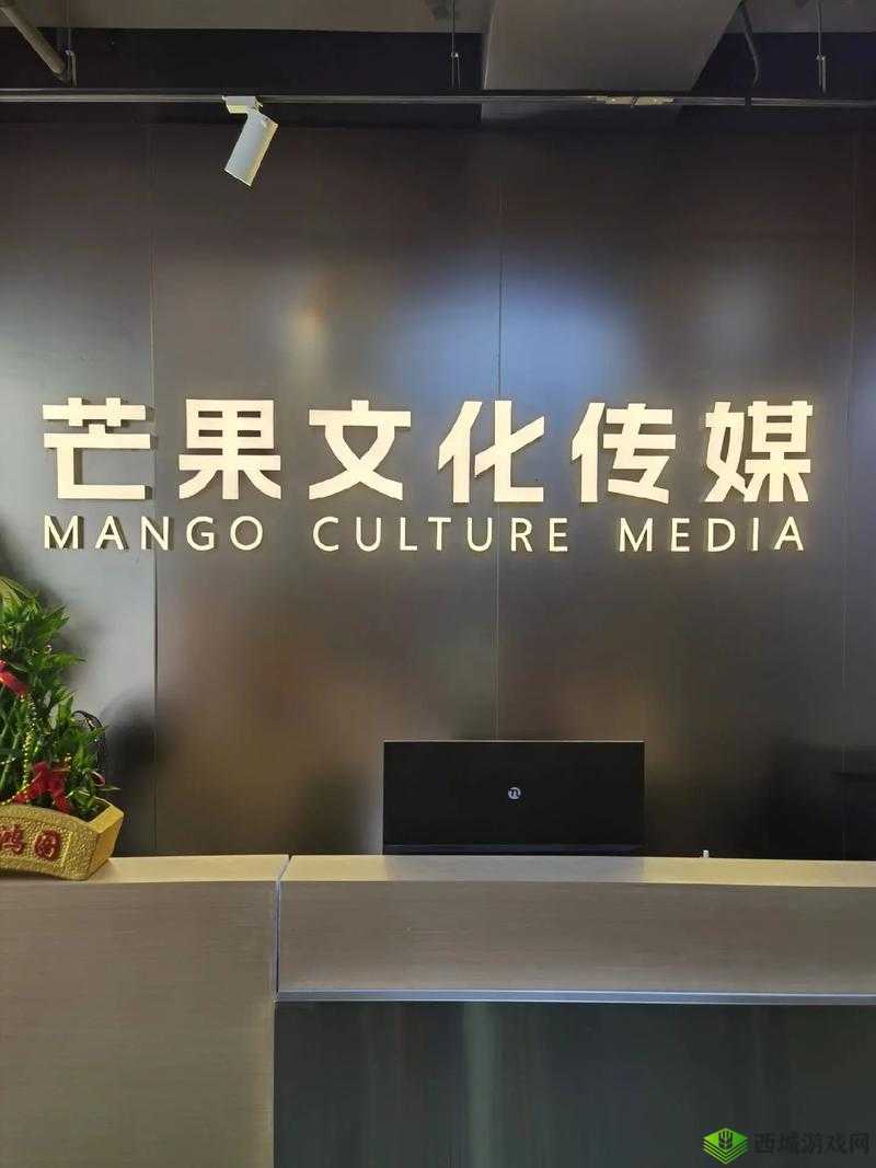 实力铸就非凡:91 传媒有限公司的辉煌历程