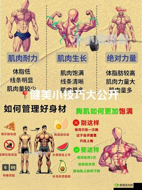 中国惊奇先生怎么健身，健身系统玩法深度解析