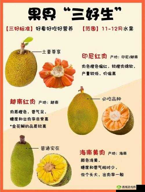 菠萝蜜一线二线三线品牌：品质差异与市场影响力解析