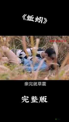 三年片大全在线观看免费观看大全:无尽的视觉盛宴等你来探索