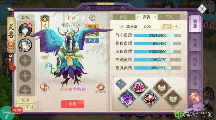 山海异闻录，天书伙伴选择——聚焦输出能力的深度解析