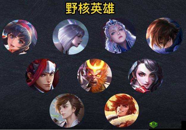 王者荣耀野核体系怎么玩,野核体系玩法介绍与资源管理优化