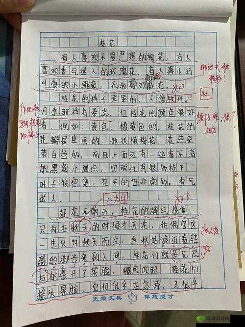 六年级菊花能塞下几支笔？揭秘学生文具收纳的创意妙招