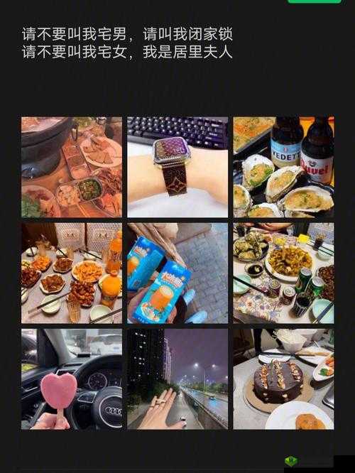 趣事百科宅福利鲁一鲁：揭秘宅男宅女最爱的趣味生活小妙招