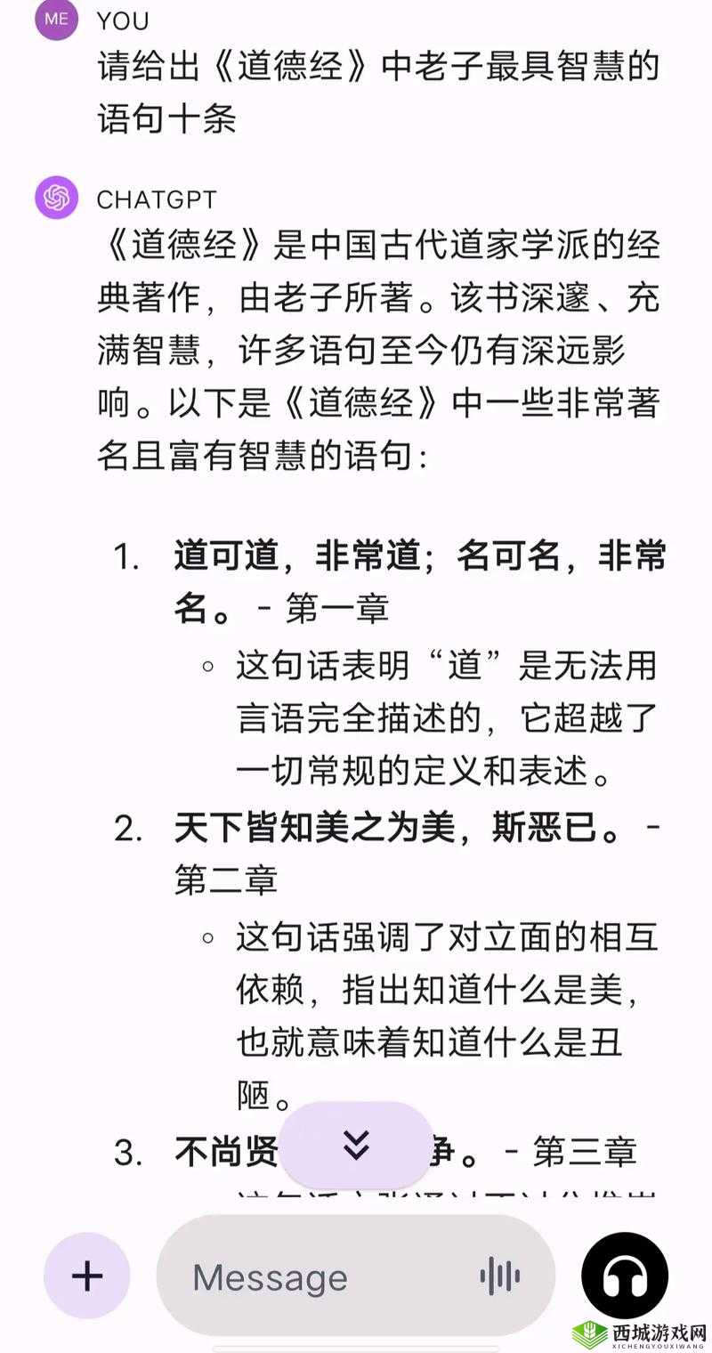 老子叫，老子喜欢听：探索经典语录背后的深意与现代人的心灵共鸣