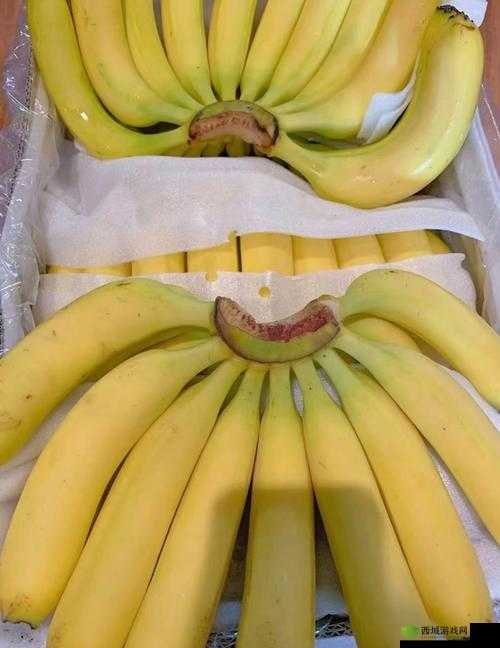 香蕉、楼桃、水蜜桃、猕猴桃、菠萝：这五种水果的营养价值与健康益处全解析