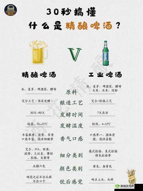 精二和精三的区别是什么？深度解析两者的核心差异与应用场景