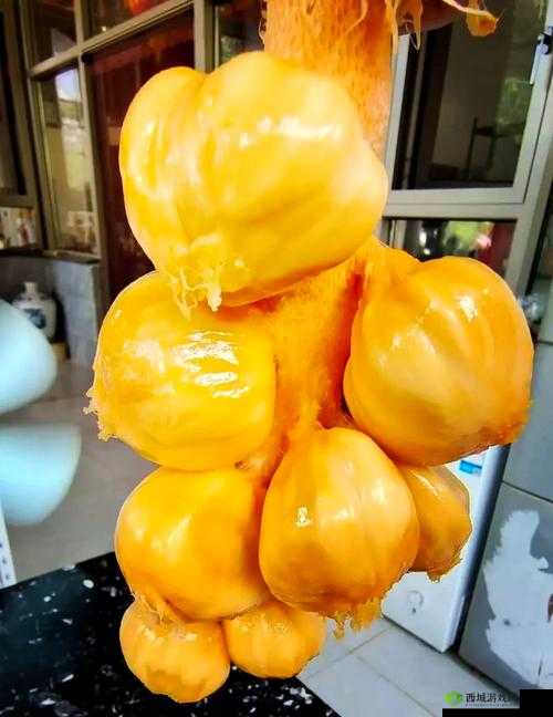 榴莲香蕉苹果哈密瓜水蜜桃全集：探索五种水果的独特风味与健康益处