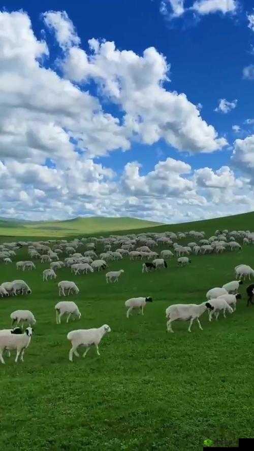 天堂草原电视剧在线观看图片高清：探索草原风情与剧情的完美结合