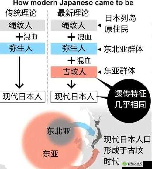揭秘日本亲近相尾换伴的传统习俗:历史背景与现代意义深度解析