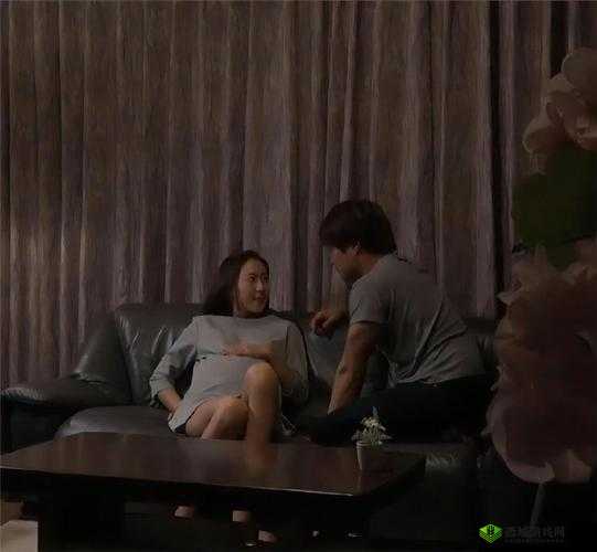 豐滿岳妇DvD完整版高清下载,经典家庭剧情片回顾与深度解析