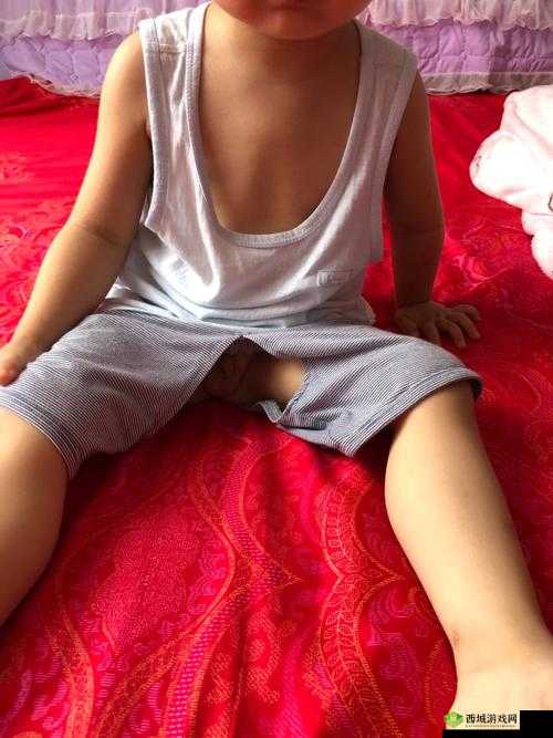 十八裸男晨勃露ji毛软件真实体验分享：用户反馈与使用指南详解