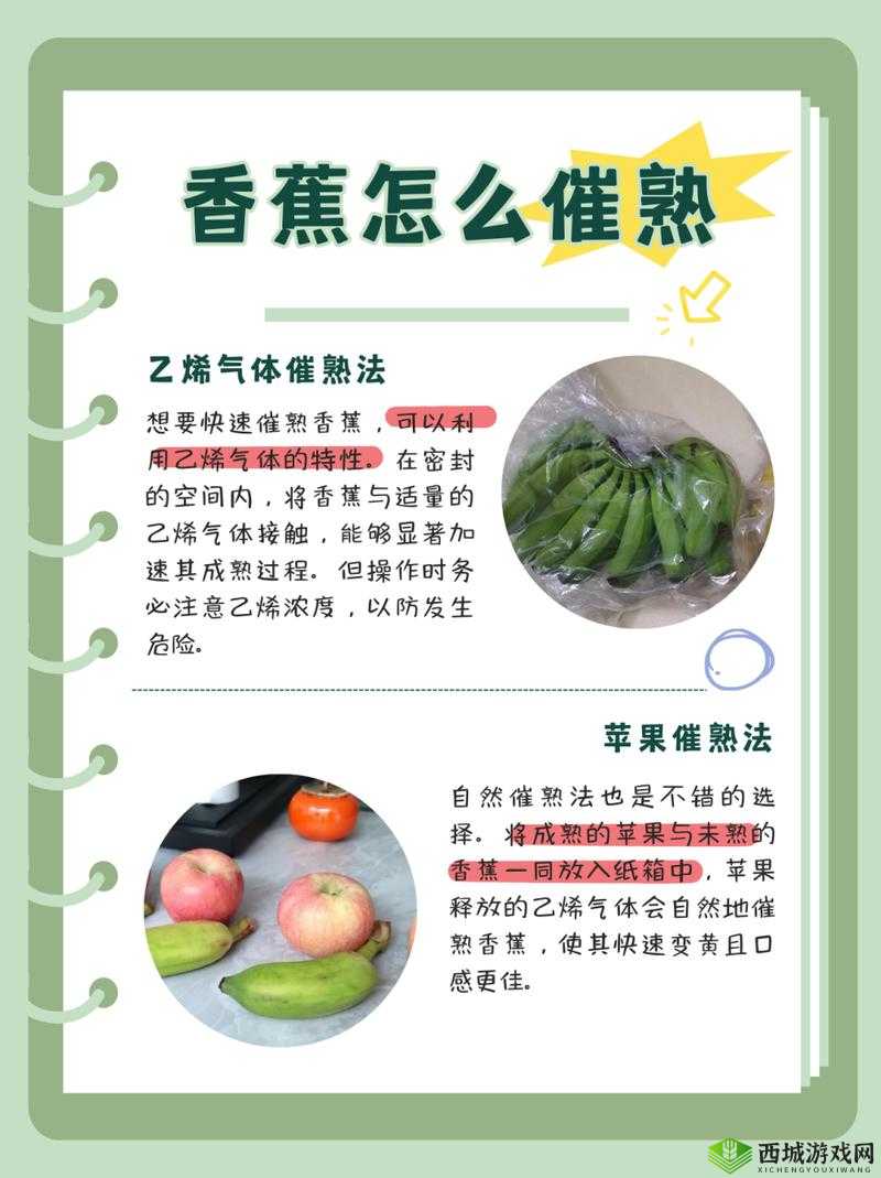 荒岛求生进化，香蕉食用方法与资源管理的重要性