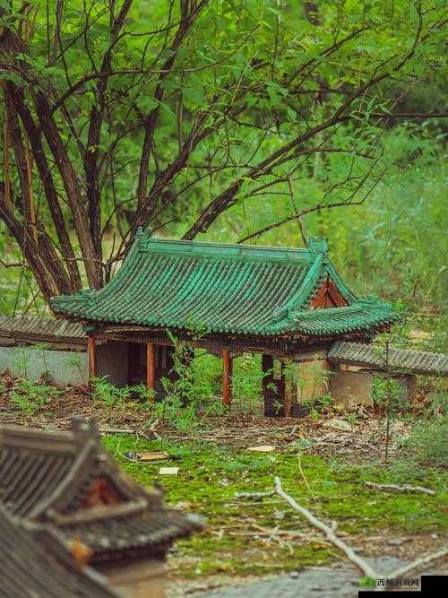 我的侠客丐帮总舵探秘,京城深处的秘密基地