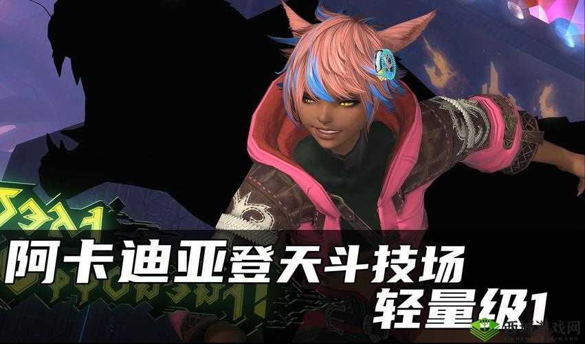 阿卡迪亚怎么编队，游戏系统攻略的演变史专题