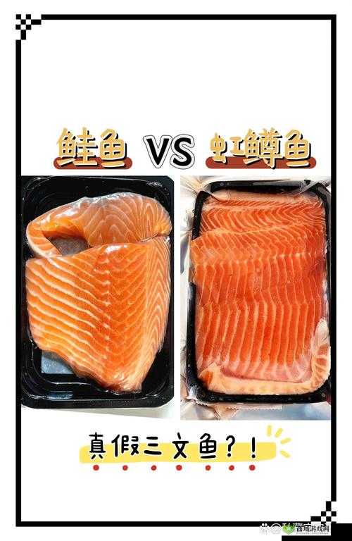 亚洲三产品究竟有何区别？全面解析其差异点在哪里