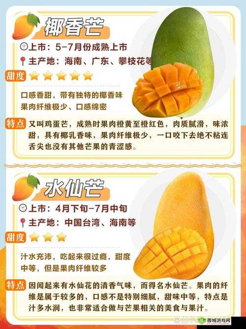 一区二区三区四区产品乱码芒果秒收信息网:最新产品分类与快速查询指南