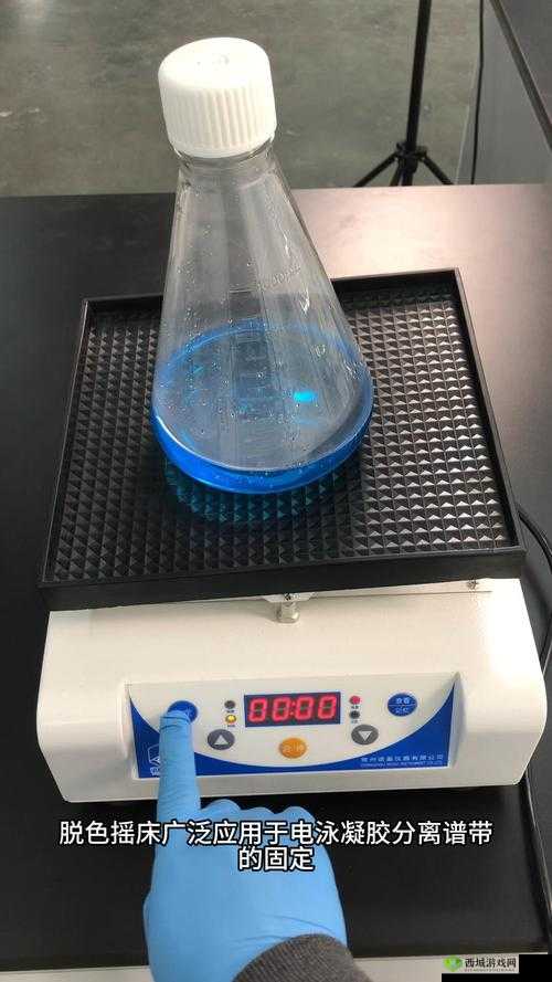 如何选择适合的脱色摇床？从工作原理到应用场景全面解析