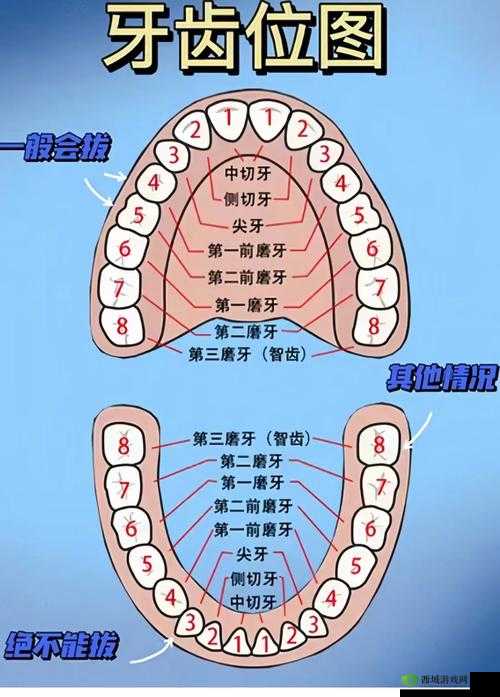 三人上面 2 人下边是什么意思?如何理解这种独特的排列模式?