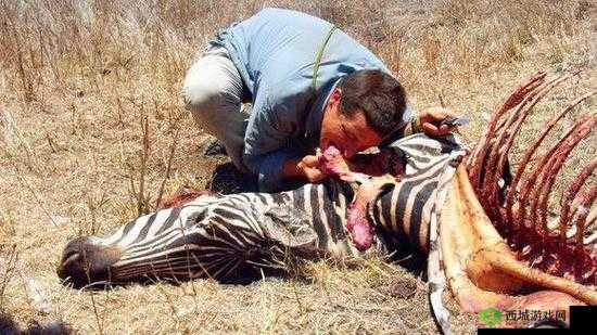 野外截取的这段视频太震撼了大家快来看看这里到底发生了什么?