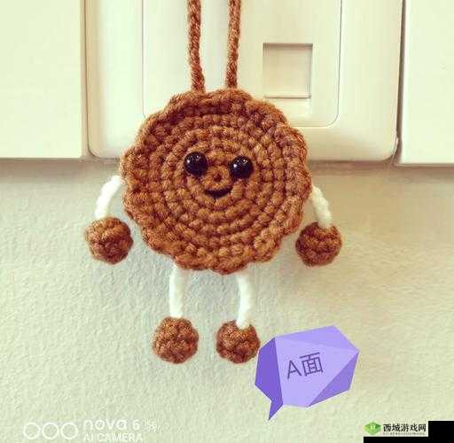 双胞胎一前一后夹心饼干双子的创意吃法与独特风味体验，让你一次尝尽两种美味