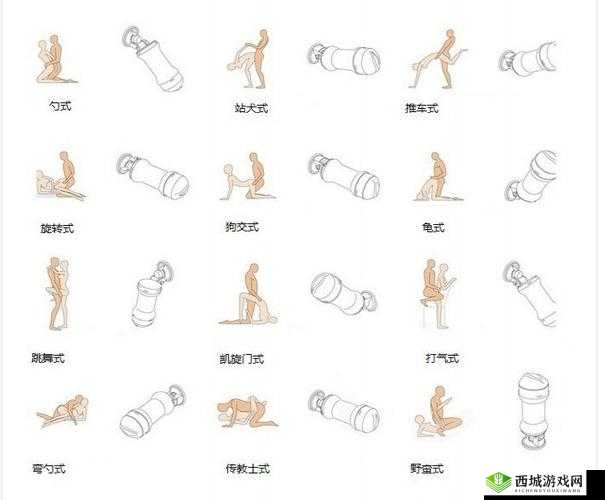 性功能锻炼最好的方法揭秘：提升健康与活力的科学指南