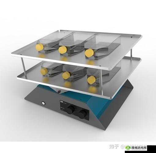 双人摇床剧烈运动是怎么回事？探究其背后的原因与影响有哪些？