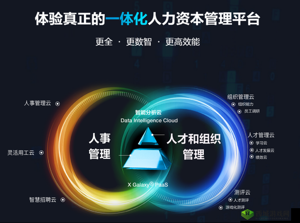 久久人力资源与普通版全方位对比:哪一款更适合企业人力资源管理需求?