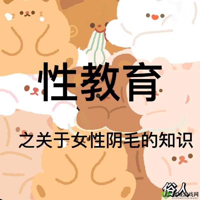 新疆女人下面是怎么发育的呢？揭秘女性生理发育的奥秘与健康管理