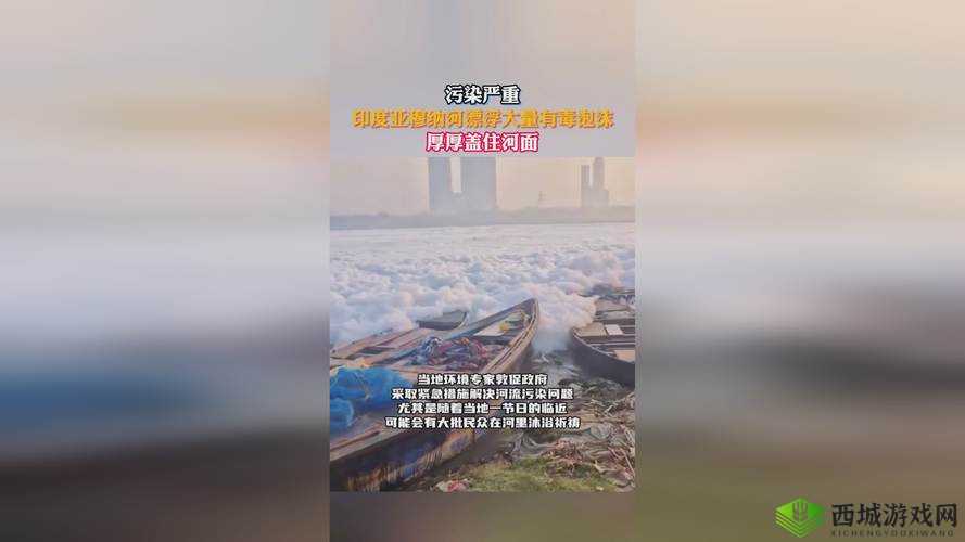 99精产国品一二三产区究竟有何独特之处?探秘其背后的秘密与魅力