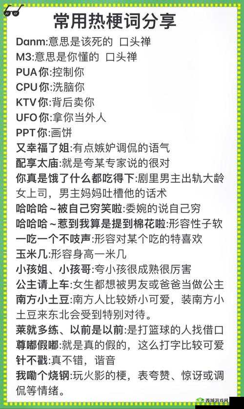 男二也要被爆炒吗？探讨网络热梗背后的社会心理与娱乐文化影响