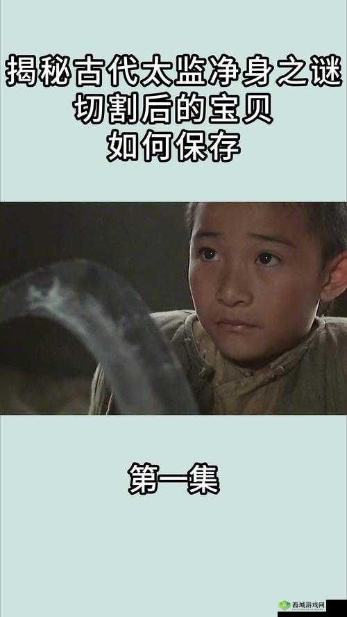 大侠速成指南第28关揭秘,智破太监身份之谜