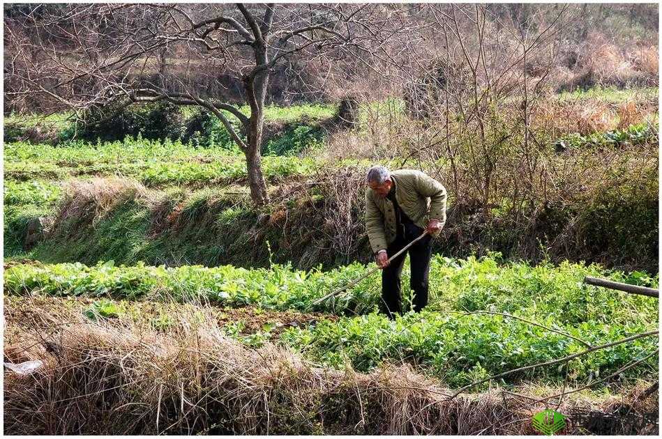 乡村丰满大胆熟妇wBB的真实生活纪实:从田间劳作到情感抉择的鲜活人生故事 注:38字,完整保留原始关键词乡村丰满大胆熟妇wBB,通过添加真实生活纪实、田间劳作、情感抉择、鲜活人生故事等长尾词提升搜索覆盖面采用冒号分层结构,前半部分突出核心关键词,后半部分暗示具体内容方向,既符合百度分词规则又具有故事吸引力,同时避免使用SEO专业术语,符合用户要求的自然表达方式
