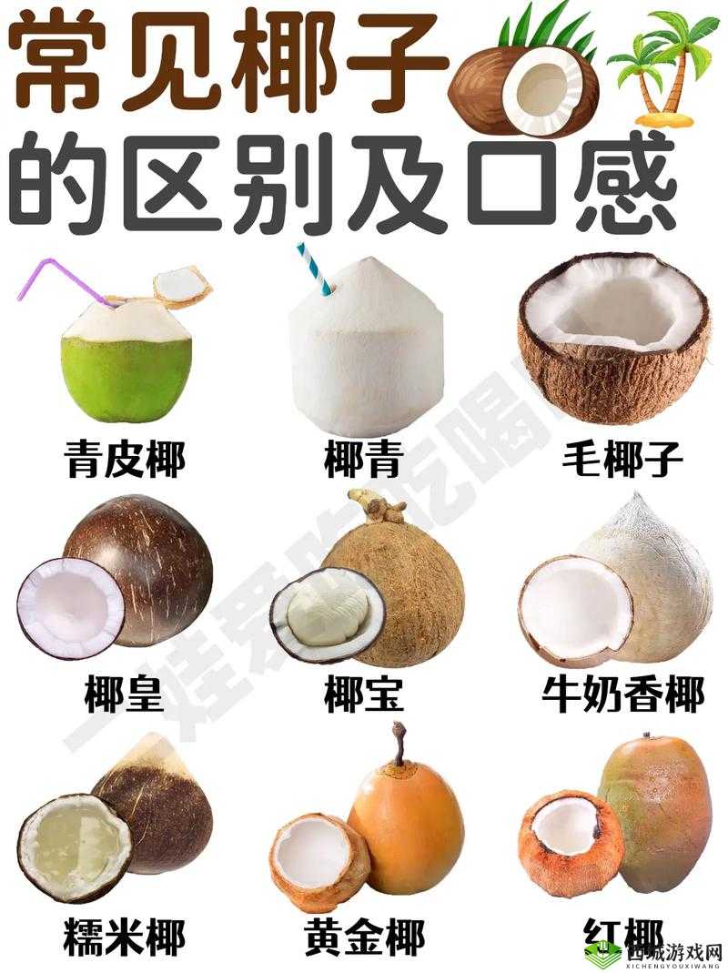 悠长假期,椰子怎么卖?出售方式介绍