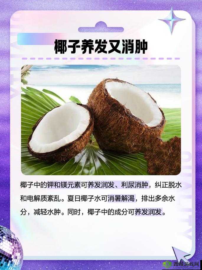 悠长假期椰子怎么获得，获取方式详细介绍