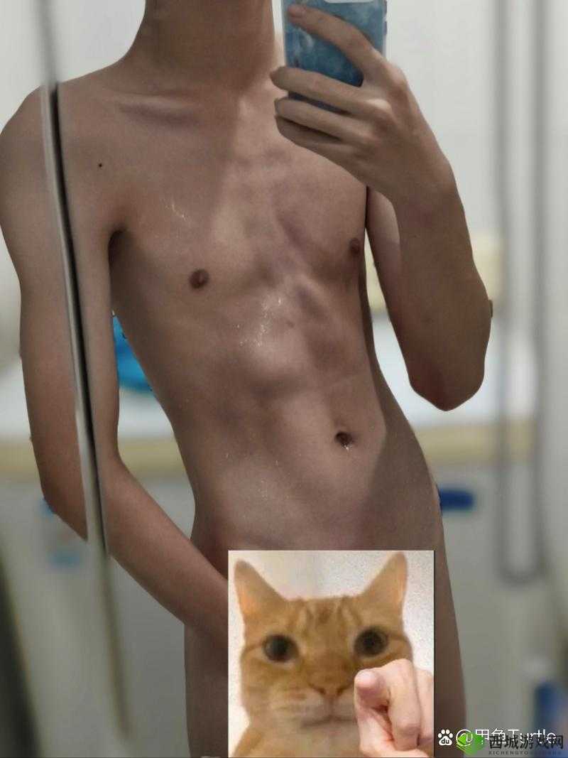 中国壮男 GayGay 野外 XXXXX:探索未知的性取向与欲望