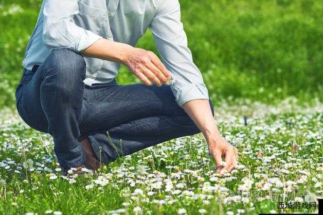 为什么有人喜欢拍摄性摘花视频?这种行为是否违法?