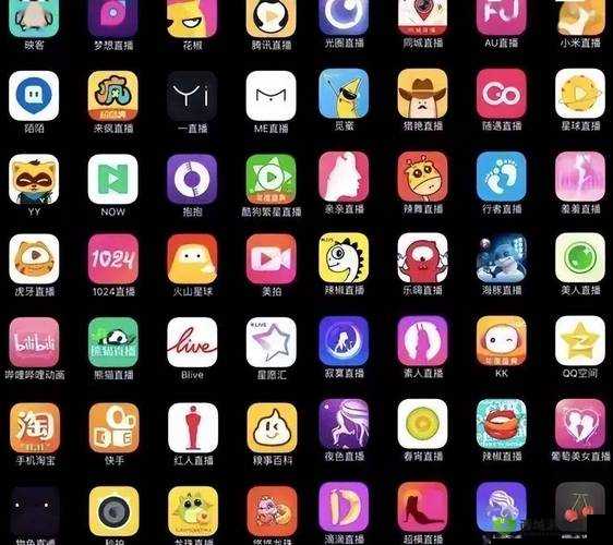 91 片神奇破解版软件介绍：功能强大，操作简单，你值得拥有