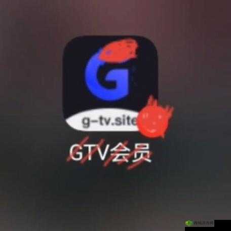 GTV小蓝轻量版网址是什么?快来这里一探究竟,满足你的好奇心