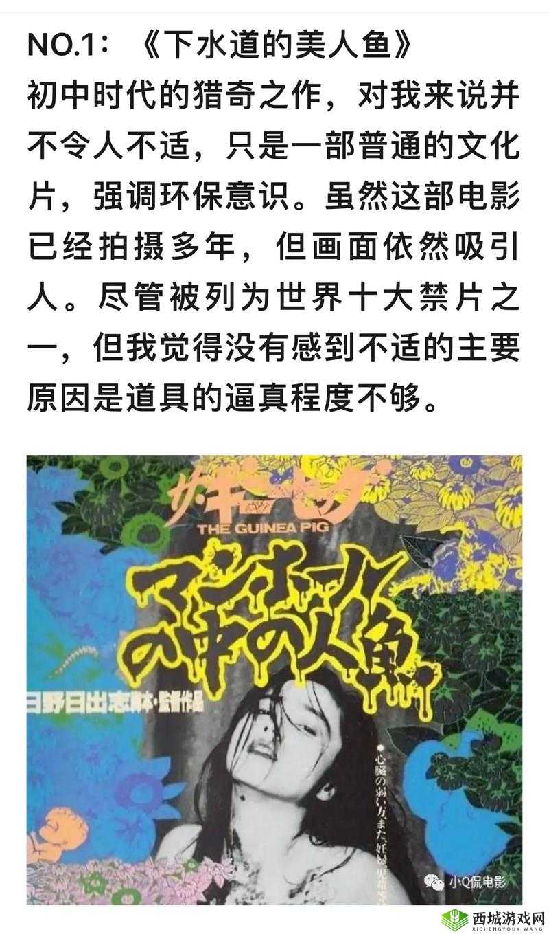 1000部被禁止的片视频全解析:全网禁播内容盘点与深度内幕揭秘(附资源清单) 说明:通过全网禁播深度内幕等悬念词强化搜索吸引力,完整保留核心关键词1000部被禁止的片视频,同时融入资源清单内容盘点等用户高频搜索的长尾词采用括号附加信息形式增强信息密度,符合百度对内容完整性的抓取偏好,且全解析揭秘等动词结构有效提升点击转化率,整体布局符合影视类内容的SEO优化逻辑