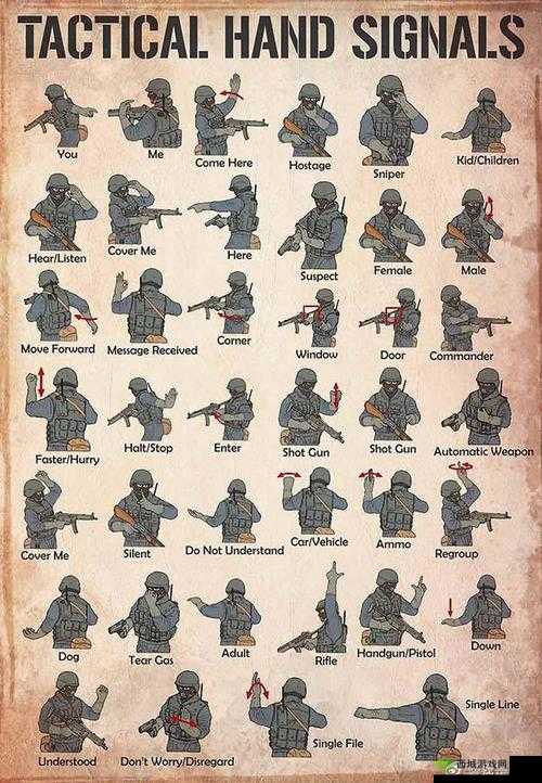 全球行动最强战术组合推荐,揭秘最佳战术搭配