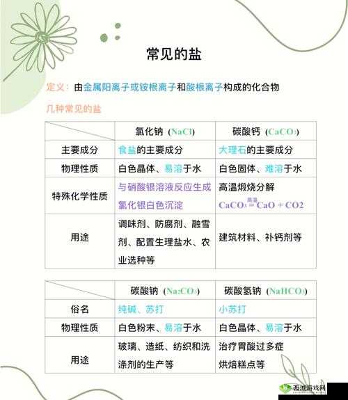 盐母 1 一 6 是什么?深入探究盐母 1 一 6 的奥秘与特点大揭秘