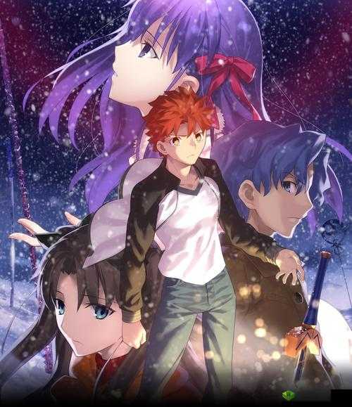 命运之夜——天之杯：恶兆之花：探索圣杯战争的残酷真相