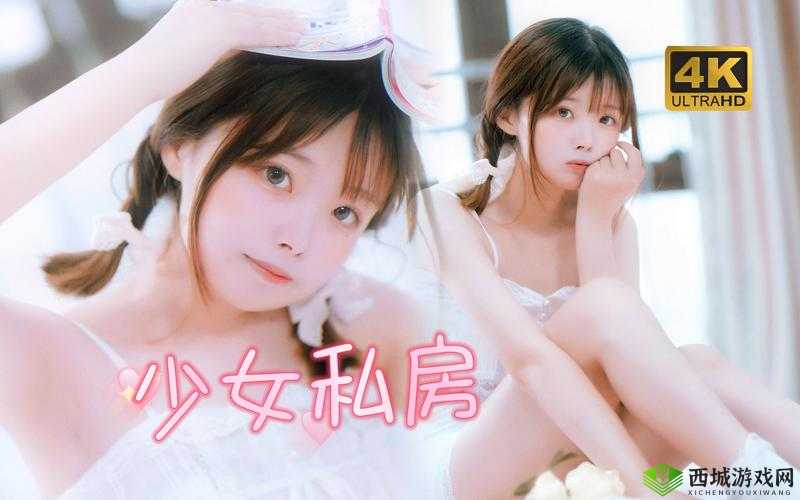 哔哩哔哩少女入口是什么？为何它在网络上如此受关注？快来一探究竟