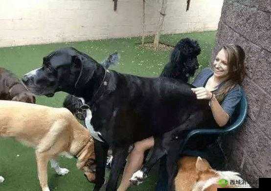 女人与狍交的 A 片真的存在吗?为什么网上找不到相关内容?