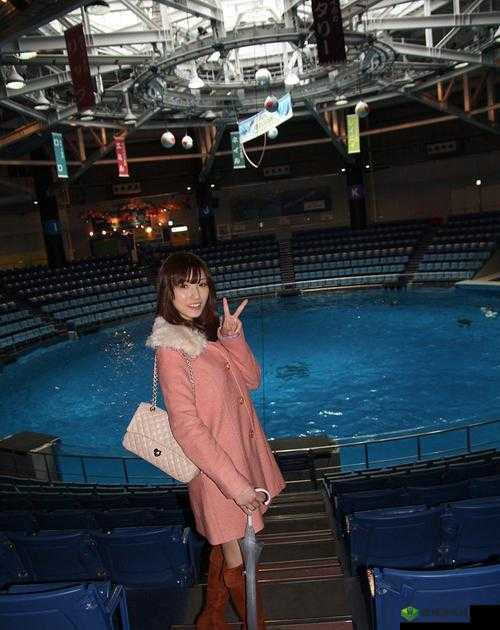 果冻传媒精品四区在线观看,你是否想知道其中的秘密?