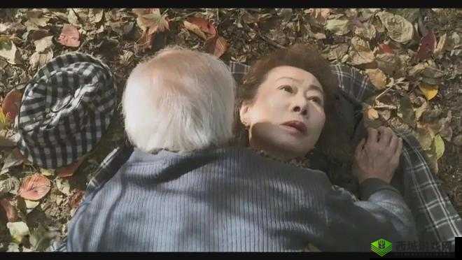 老女人裸体老太婆视频引发热议：探讨老年人隐私与网络伦理的边界