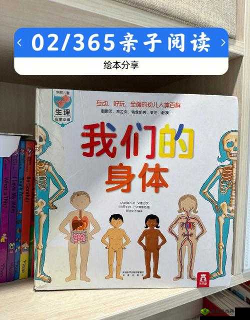 探索性ZOZ咬体内谢的奥秘：科学解析与健康影响全面解读